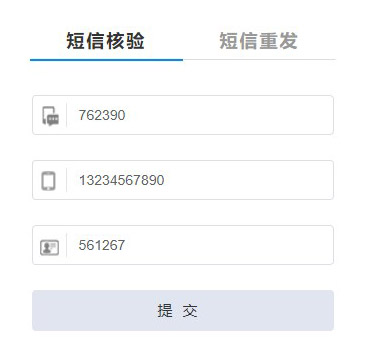 Example of a filled SMS verification form at the website of the MIIT